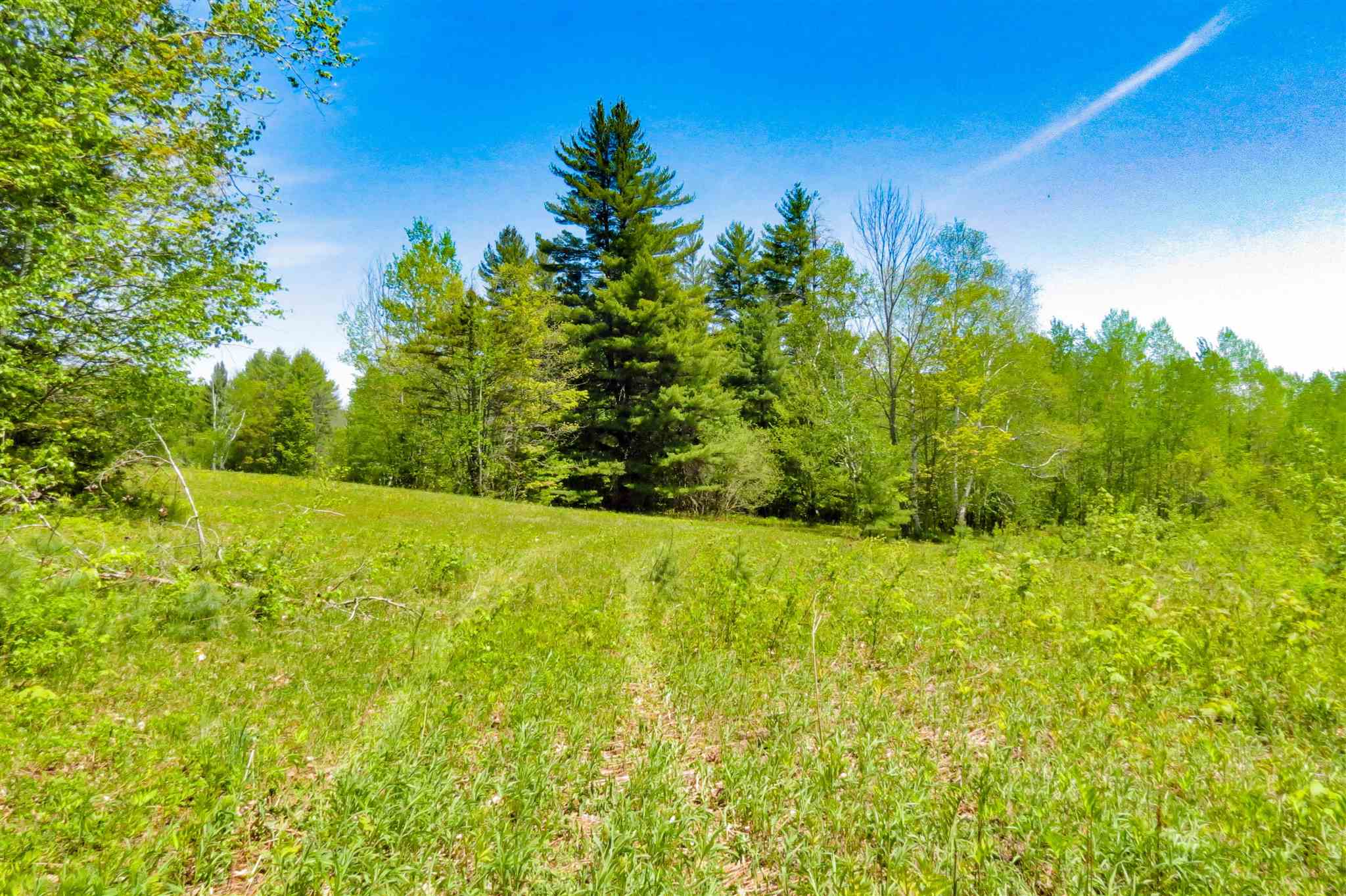 0 Johnson Farm Road Plymouth, VT 05056 - Photo 1 of 14 Gallery Image 1