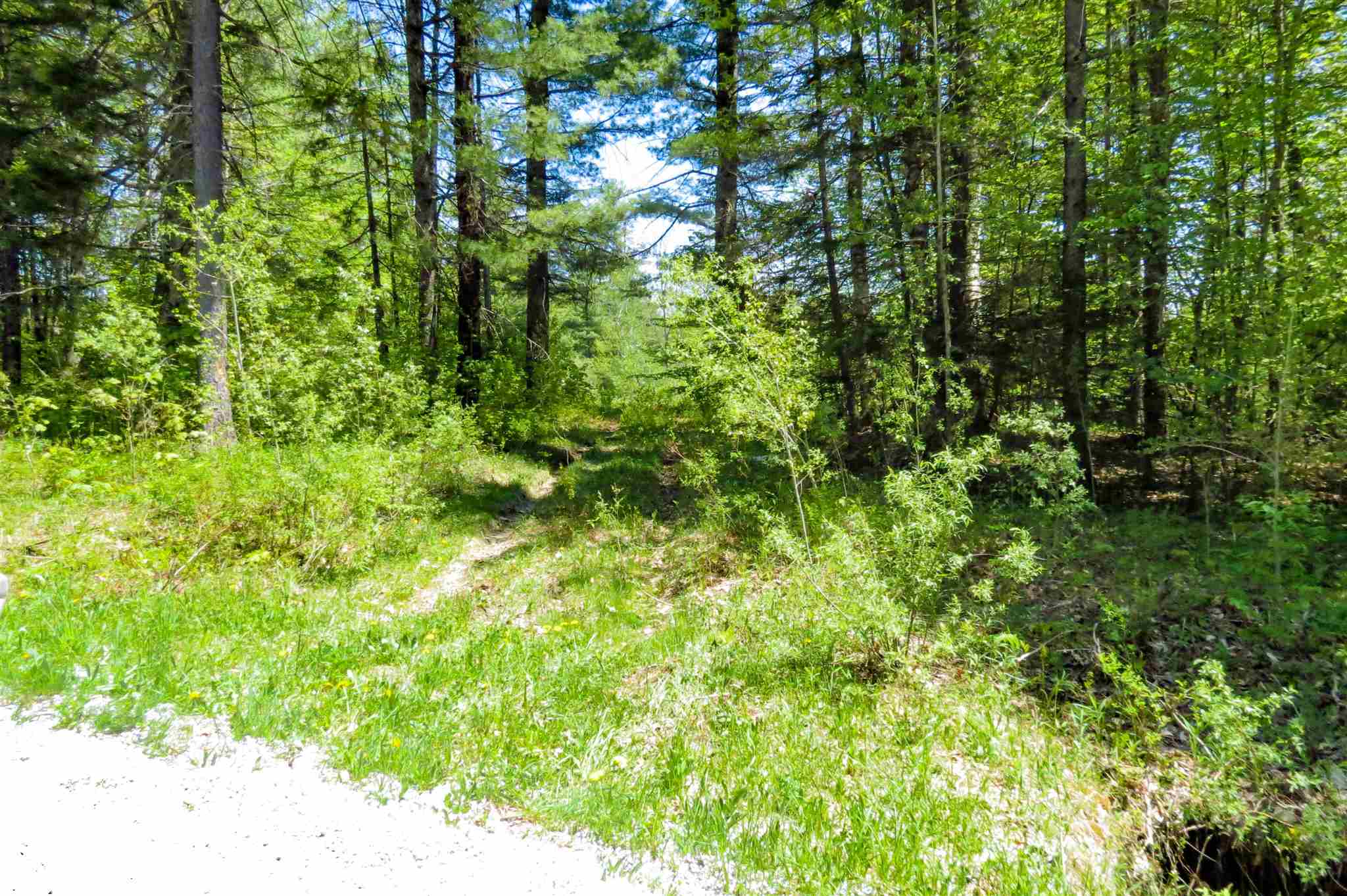 0 Johnson Farm Road Plymouth, VT 05056 - Photo 2 of 14 Gallery Image 2