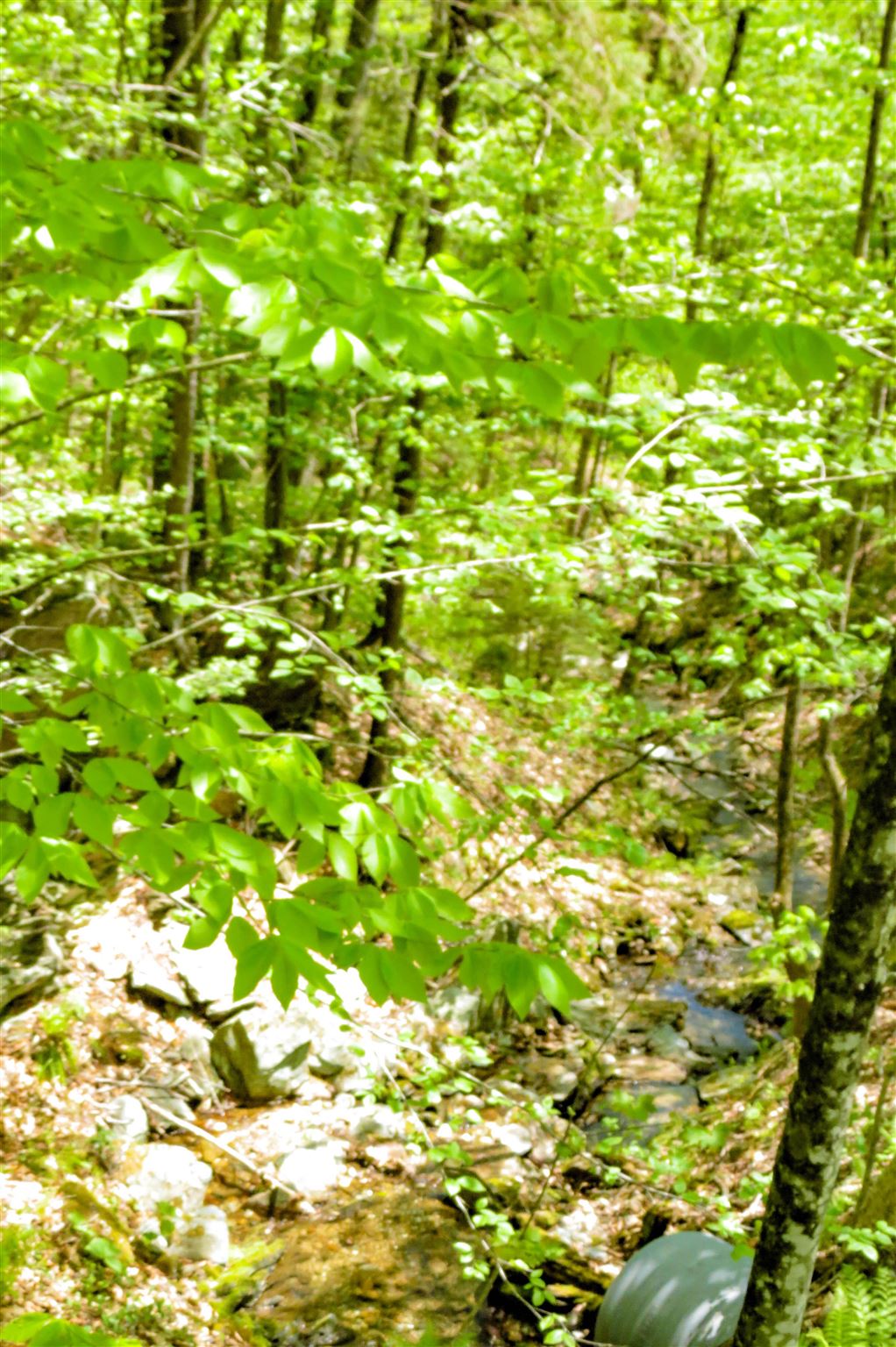 0 Johnson Farm Road Plymouth, VT 05056 - Photo 11 of 14 Gallery Image 11