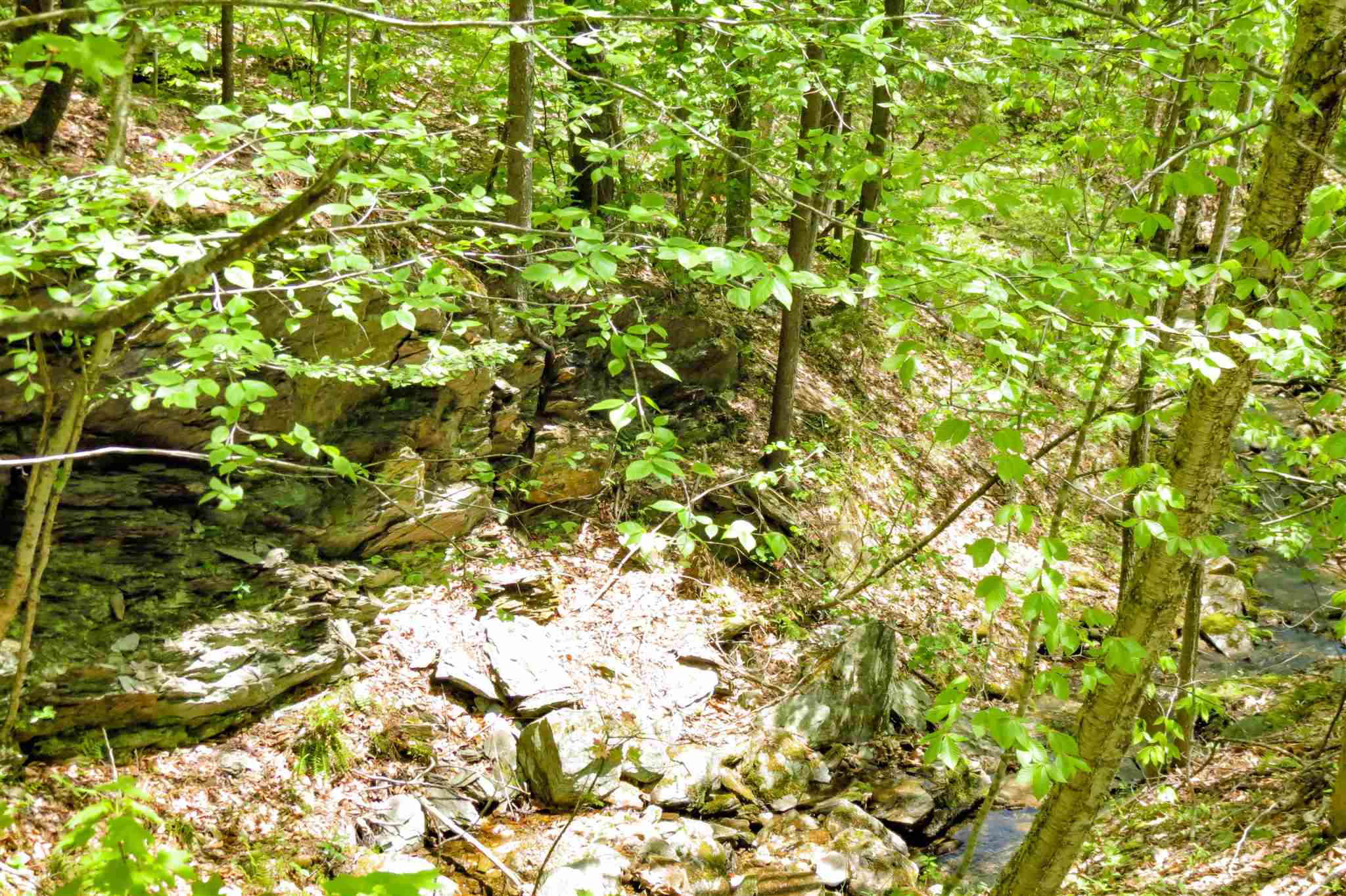 0 Johnson Farm Road Plymouth, VT 05056 - Photo 12 of 14 Gallery Image 12