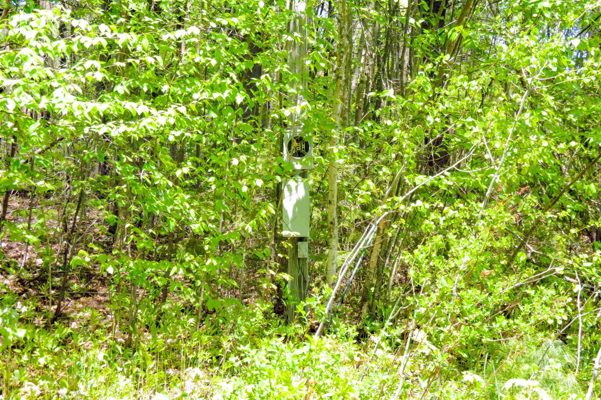 0 Johnson Farm Road Plymouth, VT 05056 - Photo 4 of 14 Gallery Image 4