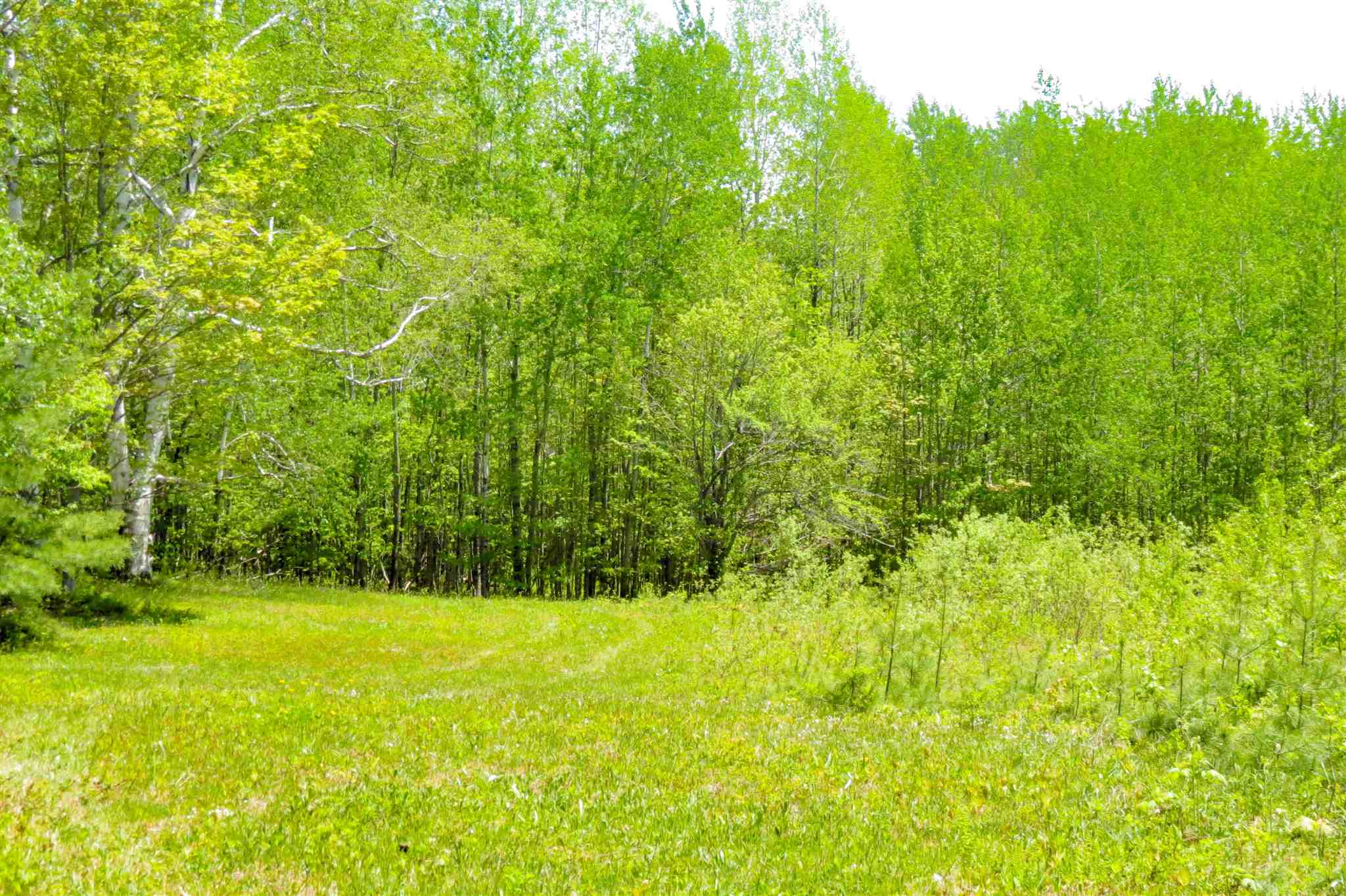 0 Johnson Farm Road Plymouth, VT 05056 - Photo 5 of 14 Gallery Image 5