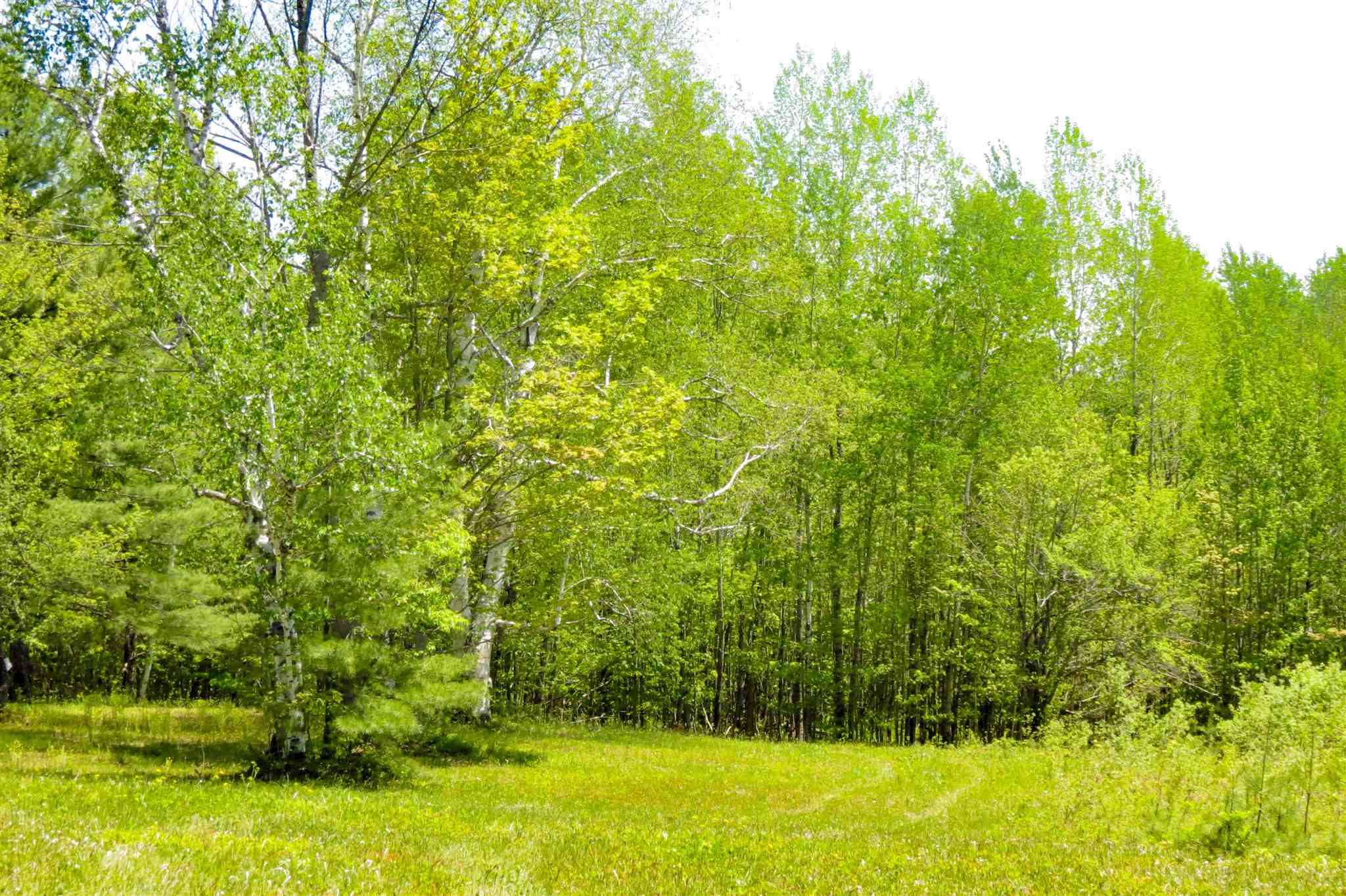 0 Johnson Farm Road Plymouth, VT 05056 - Photo 6 of 14 Gallery Image 6