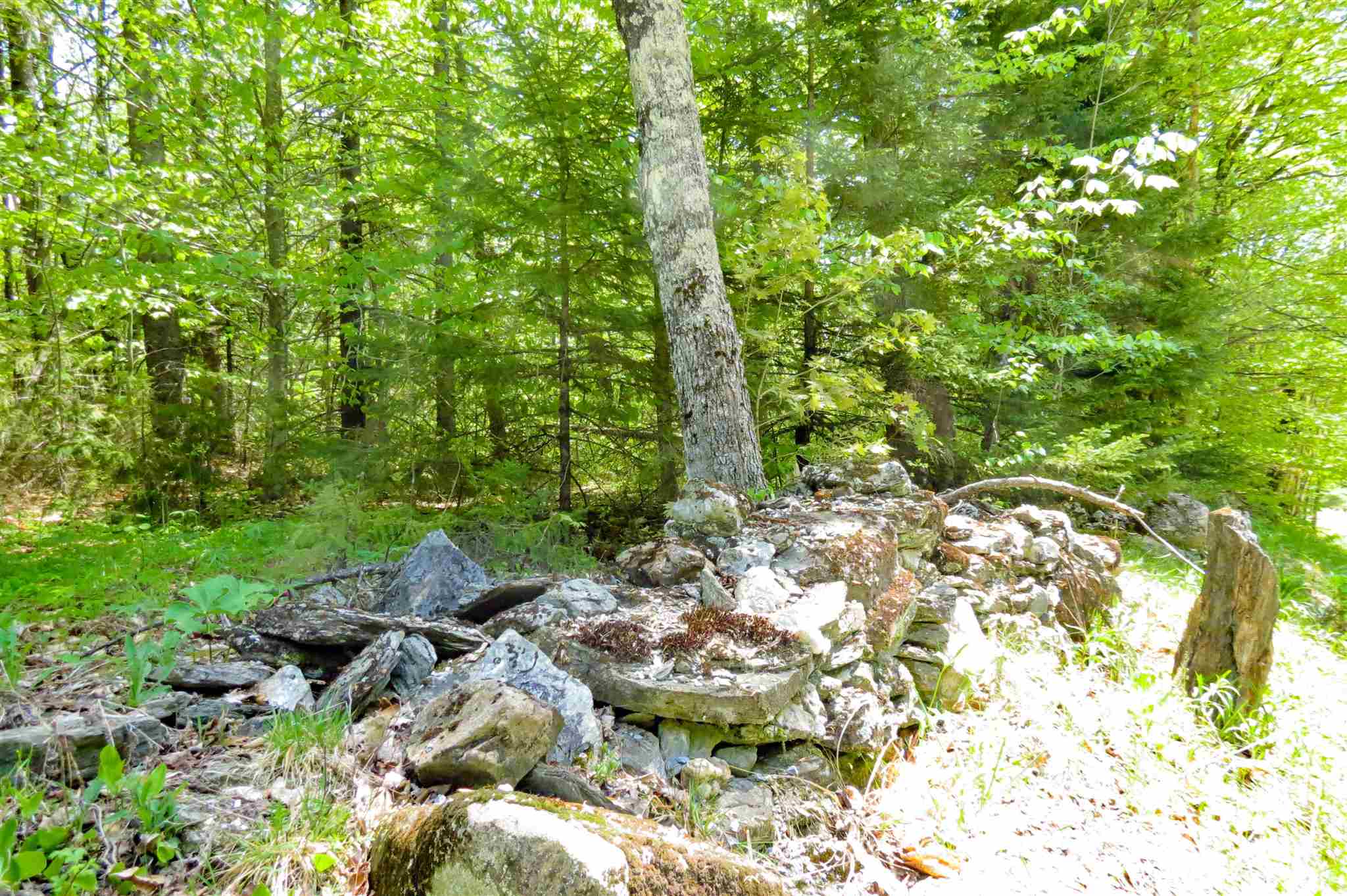 0 Johnson Farm Road Plymouth, VT 05056 - Photo 8 of 14 Gallery Image 8