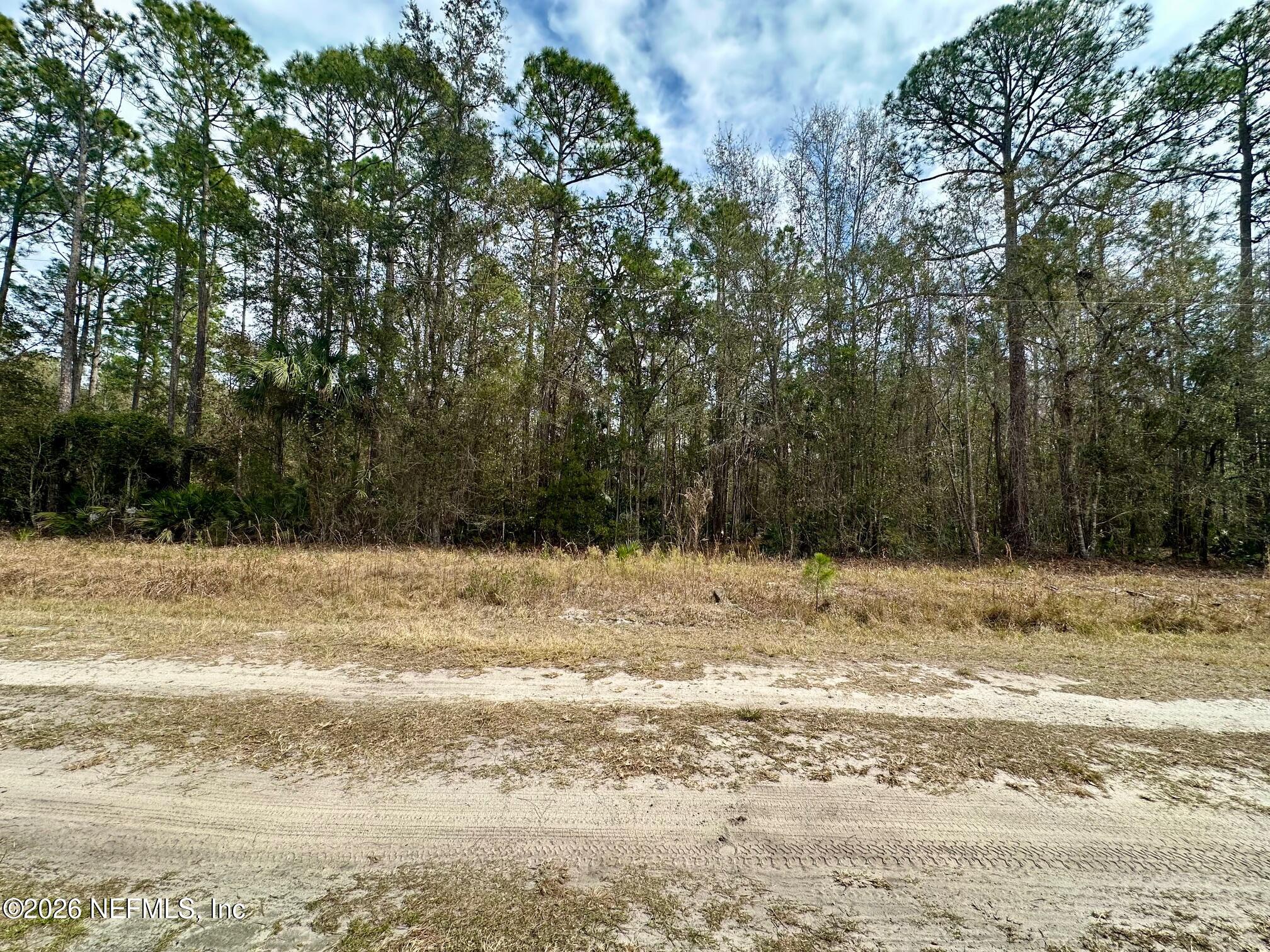 304 Lakeshore Drive Georgetown, FL 32139 - Photo 2 of 14 a view of a swimming pool with a yard