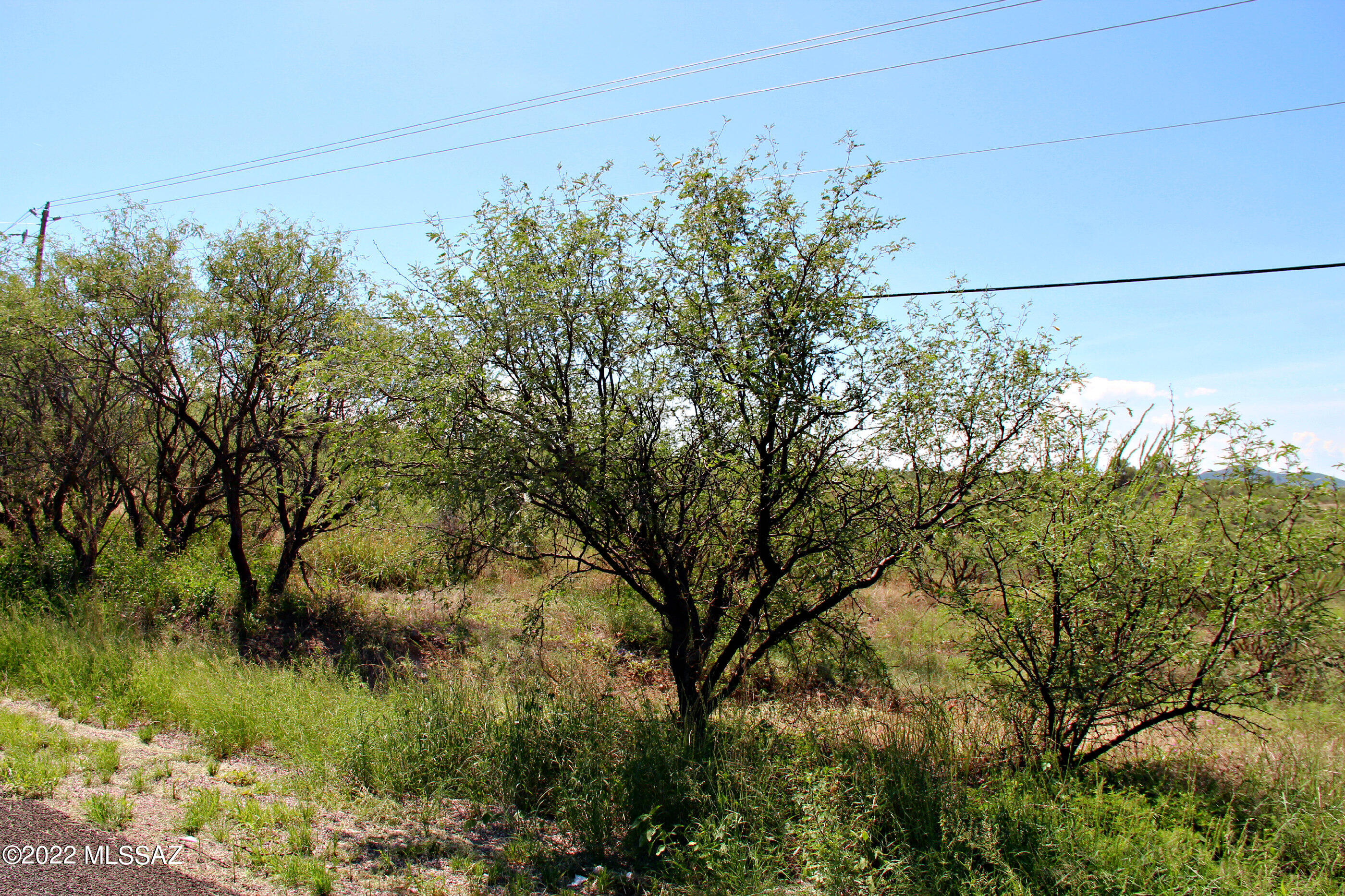 133 Paseo Mexico, Unit 43 Rio Rico, AZ 85648 - Photo 44 of 44