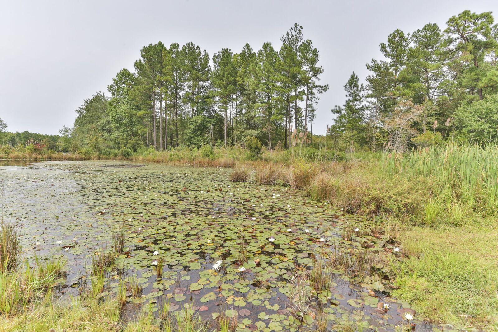 226 Leviner Stable Road Hamlet, NC 28345 - Photo 43 of 51 1O8A0517
