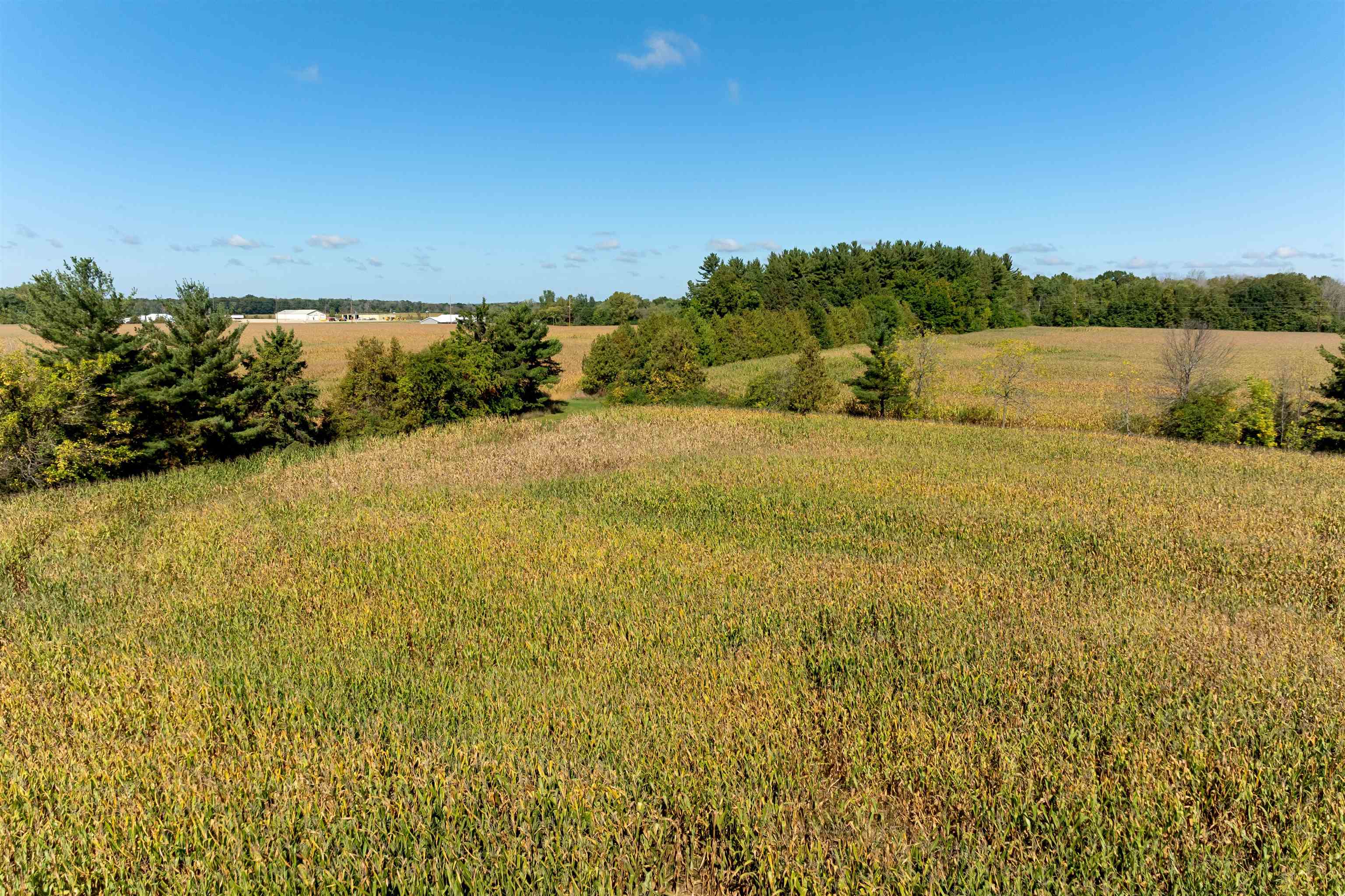 98-acres County Rd XX Berlin, WI 54923 - Photo 21 of 23