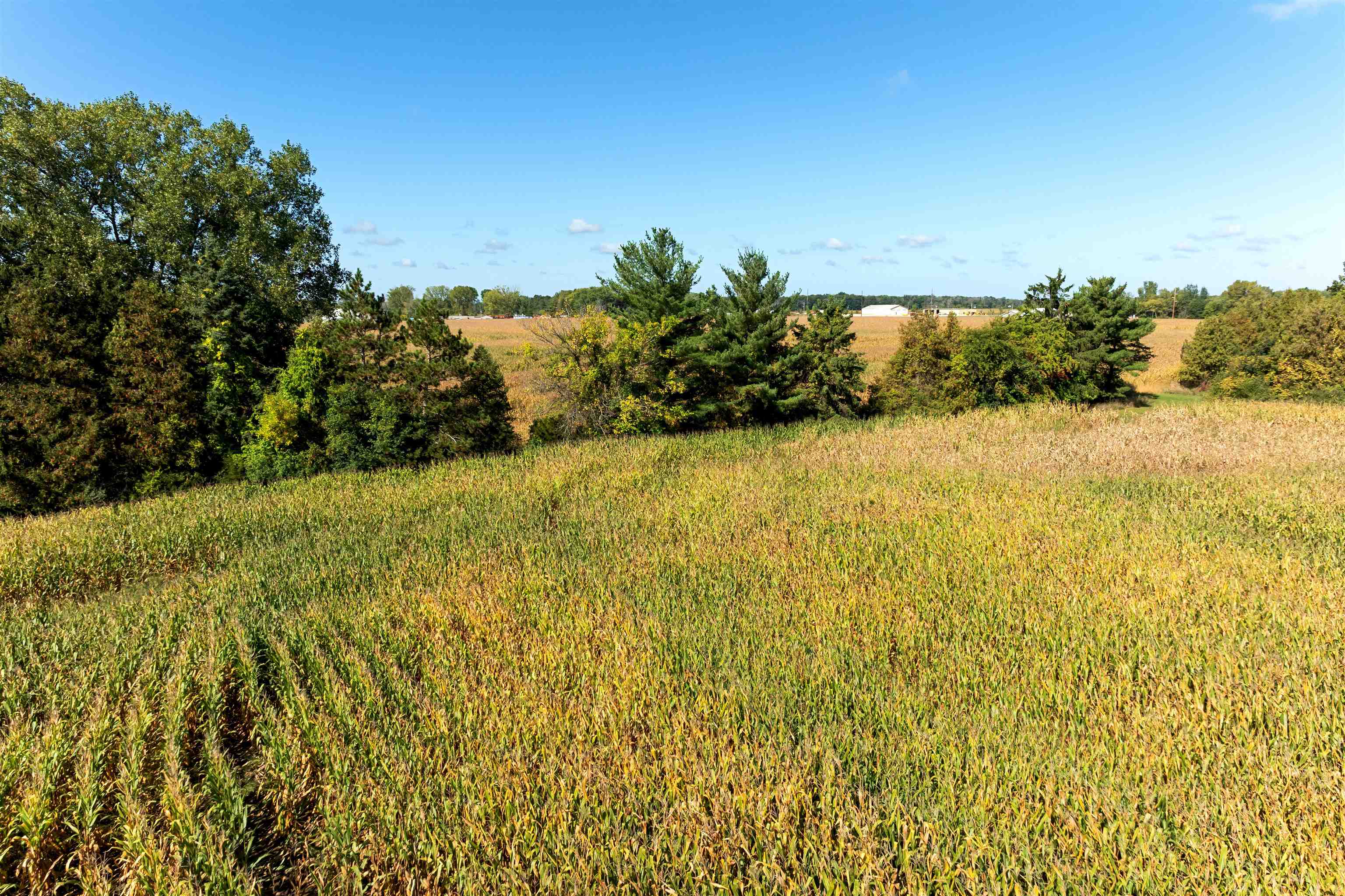 98-acres County Rd XX Berlin, WI 54923 - Photo 22 of 23
