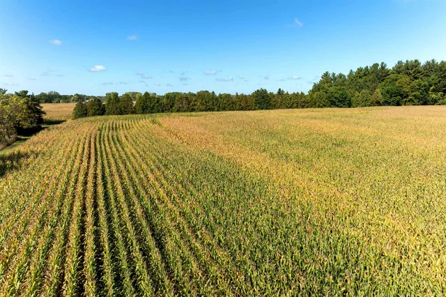 $1,325,000 | 98-acres County Rd XX, Berlin, WI 54923