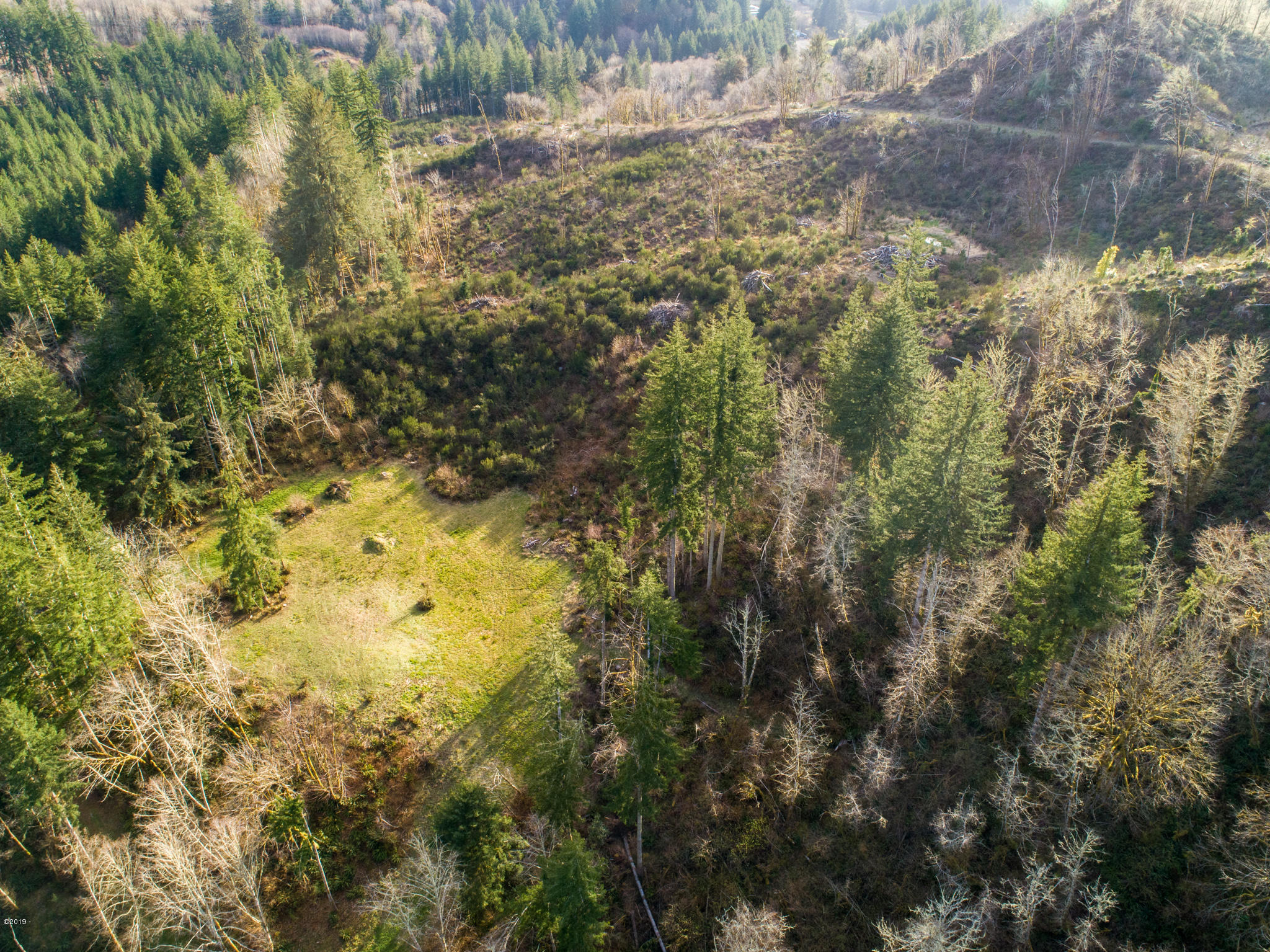 1 Olalla Road Toledo, OR 97391 - Photo 10 of 14 Olalla Road Toledo (9)