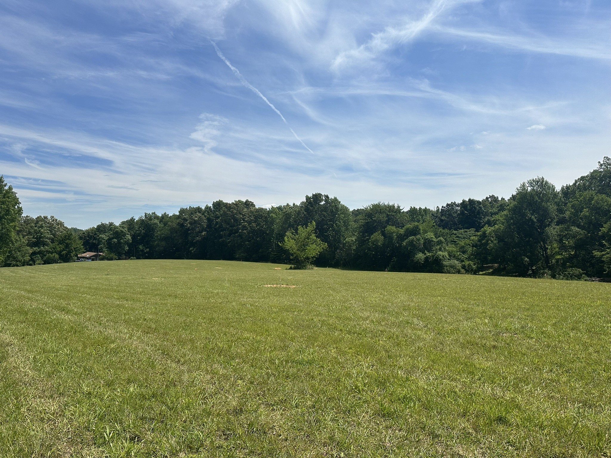 2 Somerville Road Cross Plains, TN 37049 - Photo 3 of 6