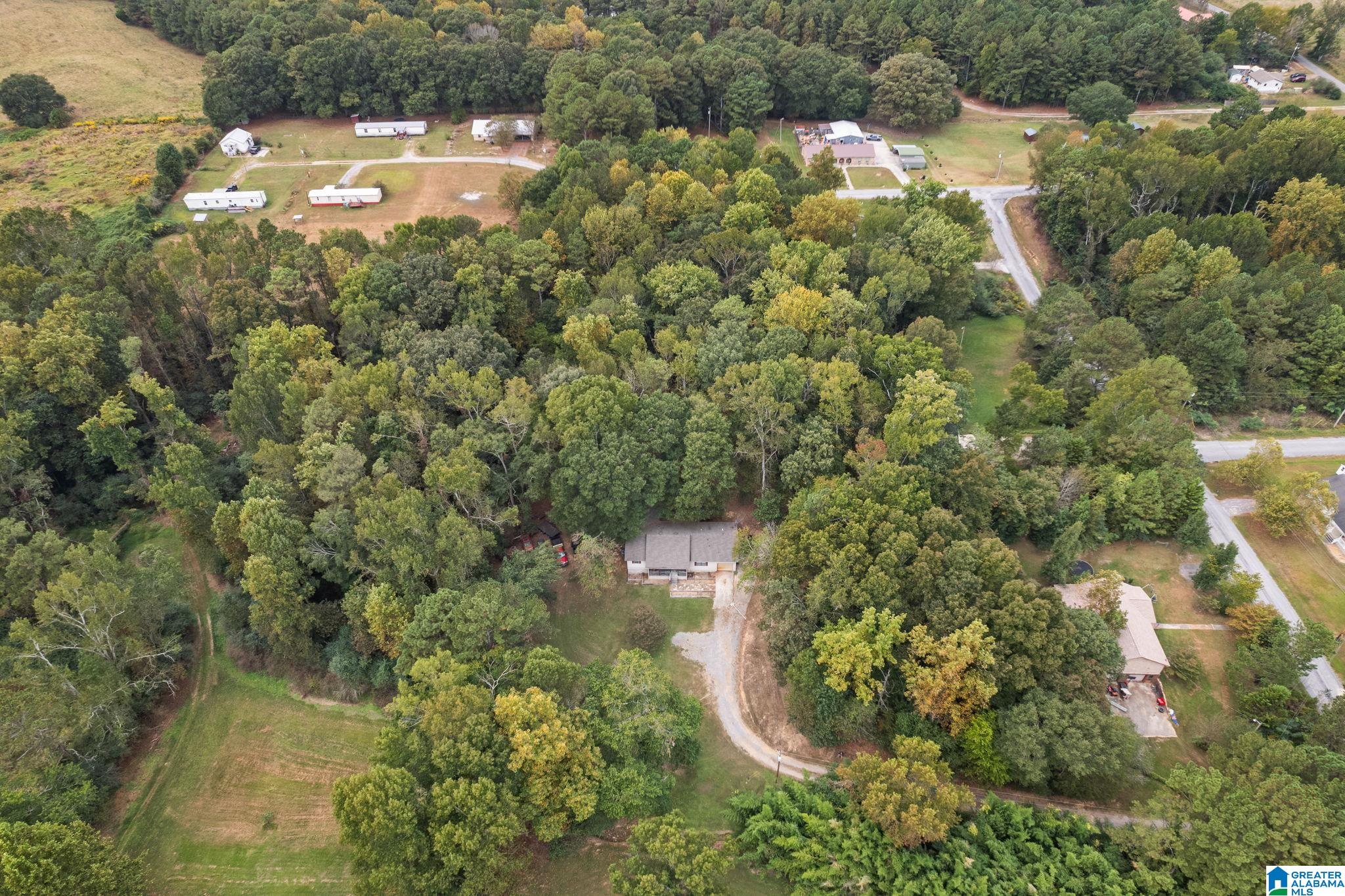 85 County Road 738 Cullman, AL 35055 - Photo 29 of 29