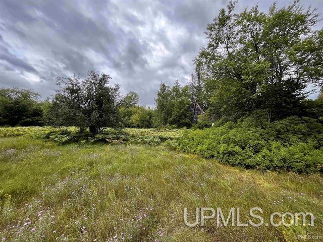 9692 North Laird Road Pelkie, MI 49958 - Photo 43 of 44