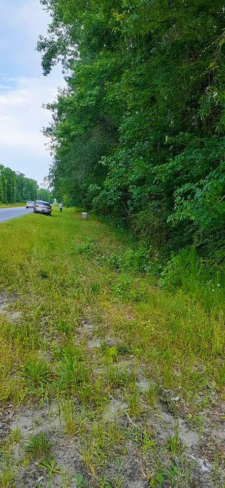 0 Sc-6 Pinopolis, SC 29469 - Photo 5 of 6 100323767_3176069712432590_6494194064282