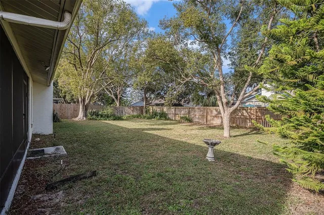 a view of yard with trees