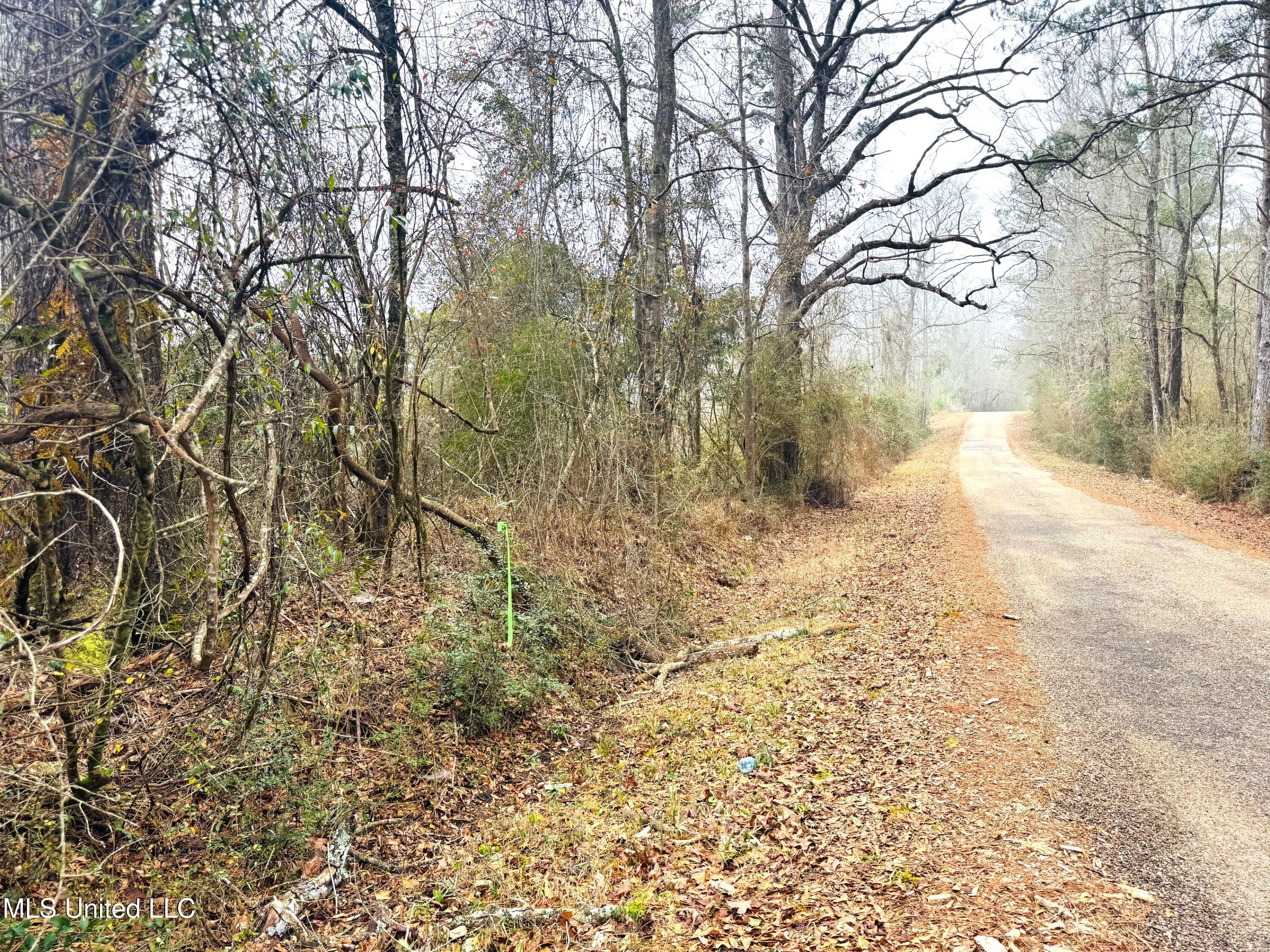 0 Sidney Ellzey Road Tylertown, MS 39667 - Photo 7 of 11 Ellzey - Street facing north