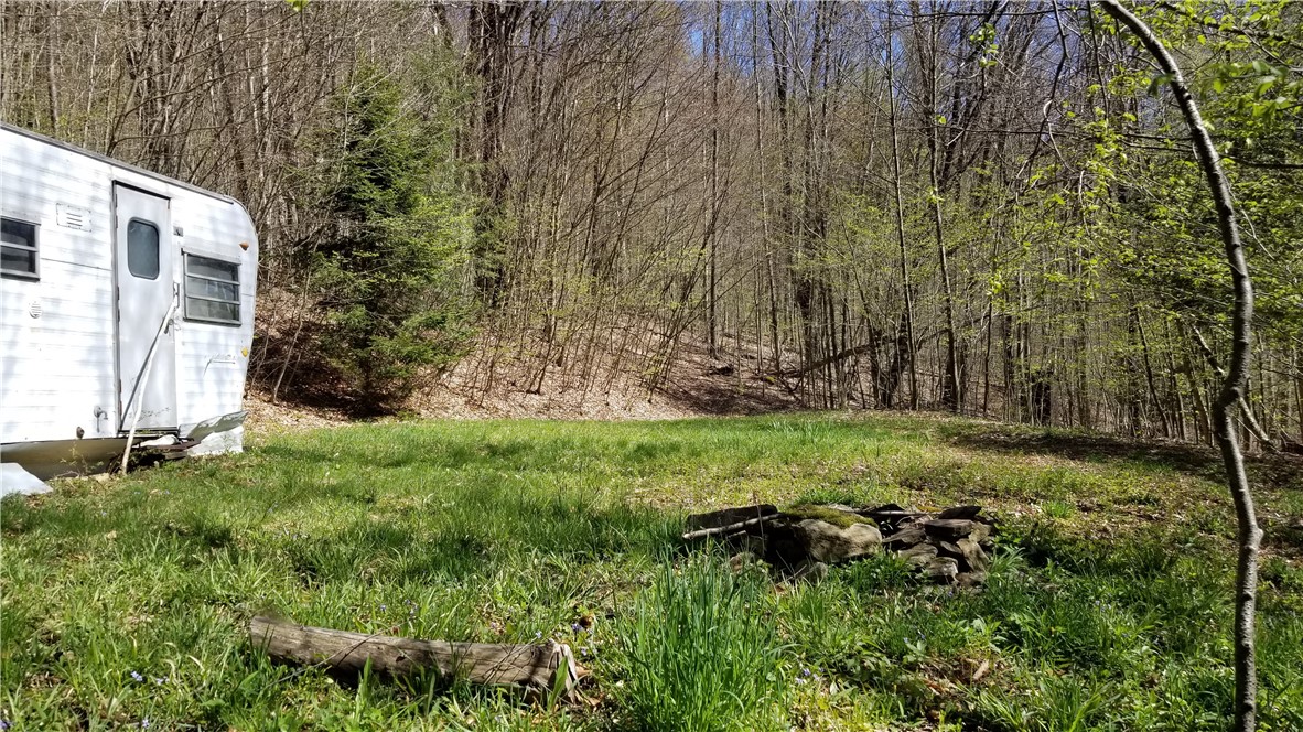 220 Spring Run Road Smethport, PA 16749 - Photo 1 of 1 Level camp site.