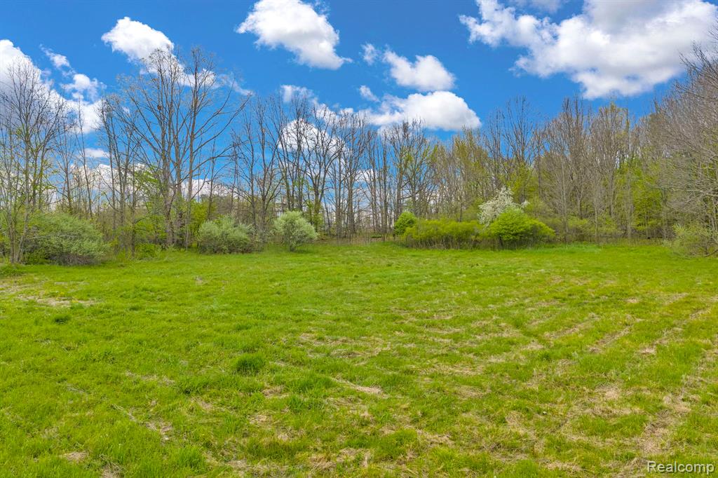 0 Martin Road Capac, MI 48014 - Photo 14 of 20