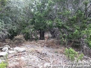 0 Fawn River Drive Spring Branch, TX 78070 - Photo 1 of 8 a view of a yard with plants and trees
