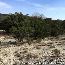 0 Fawn River Drive Spring Branch, TX 78070 - Photo 2 of 8 a view of a yard
