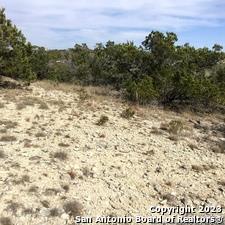 0 Fawn River Drive Spring Branch, TX 78070 - Photo 4 of 8 a view of a yard with a tree