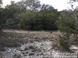 0 Fawn River Drive Spring Branch, TX 78070 - Photo 5 of 8 a view of outdoor space and yard