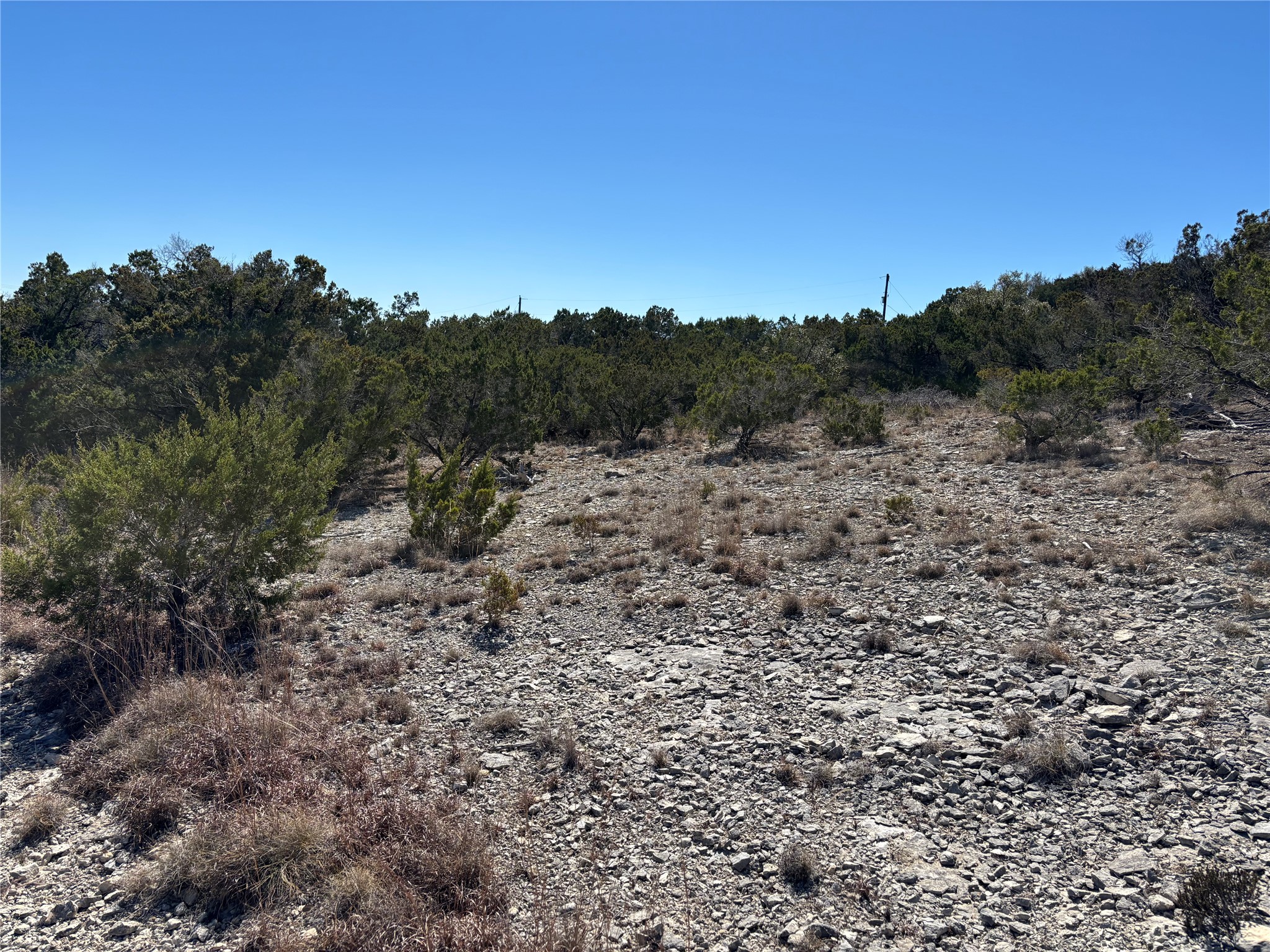 0 Fawn River Drive Spring Branch, TX 78070 - Photo 6 of 11 a view of a dry field with lots of bushes