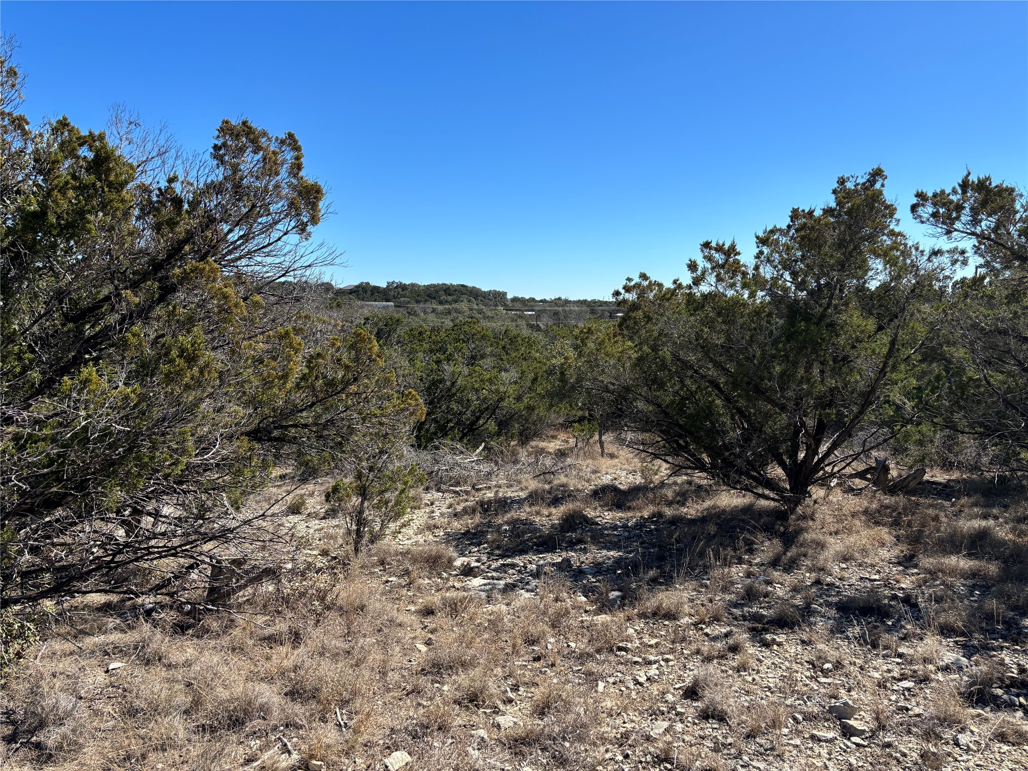0 Fawn River Drive Spring Branch, TX 78070 - Photo 7 of 11 a view of a forest with a tree in the background