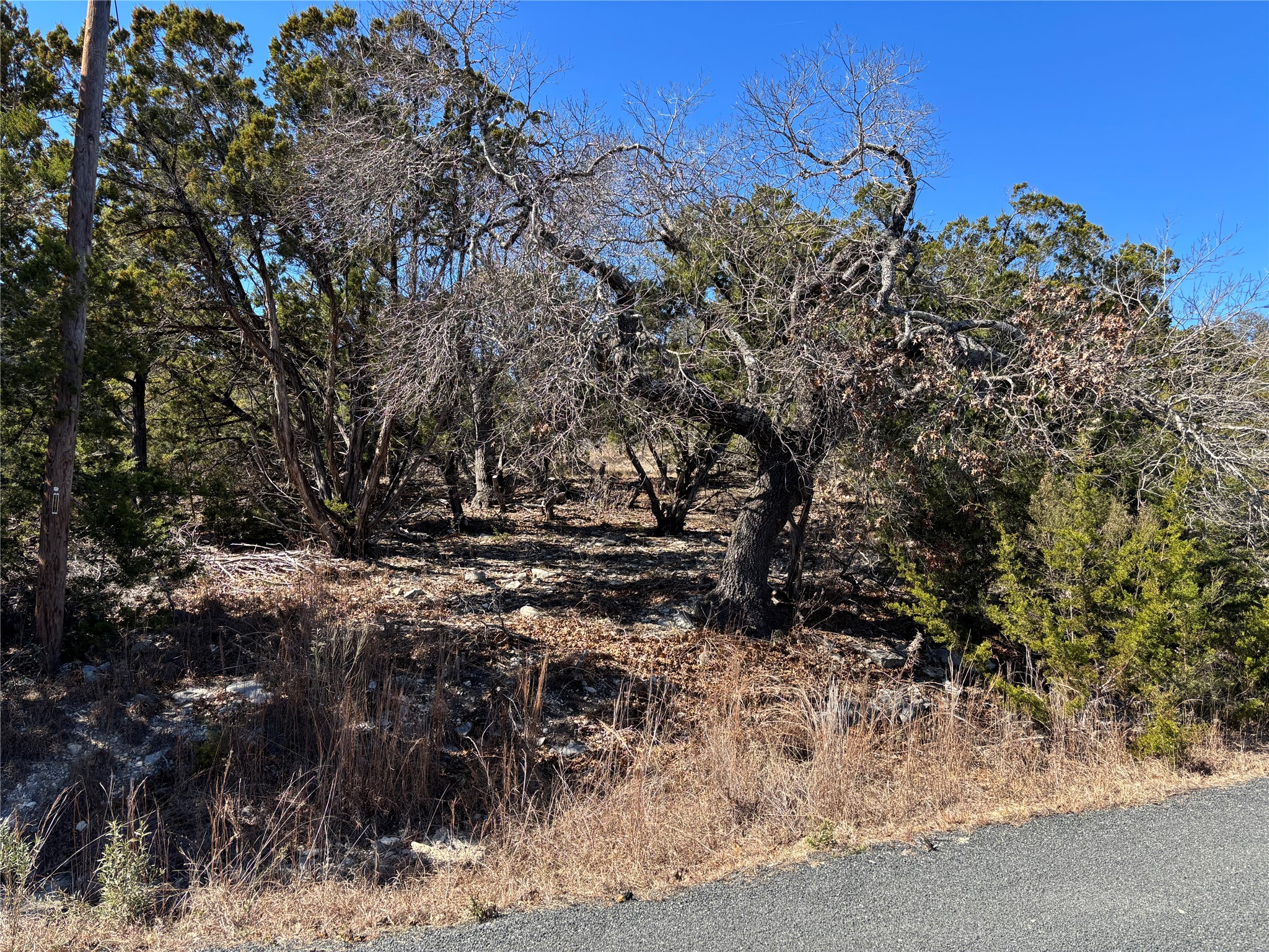 0 Fawn River Drive Spring Branch, TX 78070 - Photo 8 of 11 a view of a yard with a tree