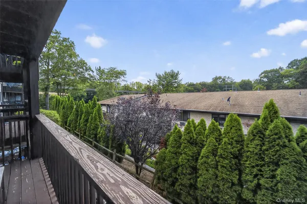 a view of a park with large trees