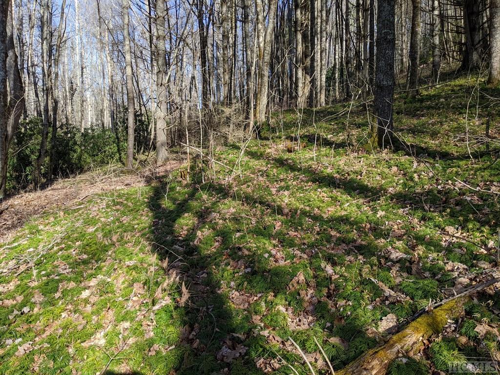 Lot 1 Big Ridge Road Glenville, NC 28736 - Photo 7 of 11 Gallery Image 7