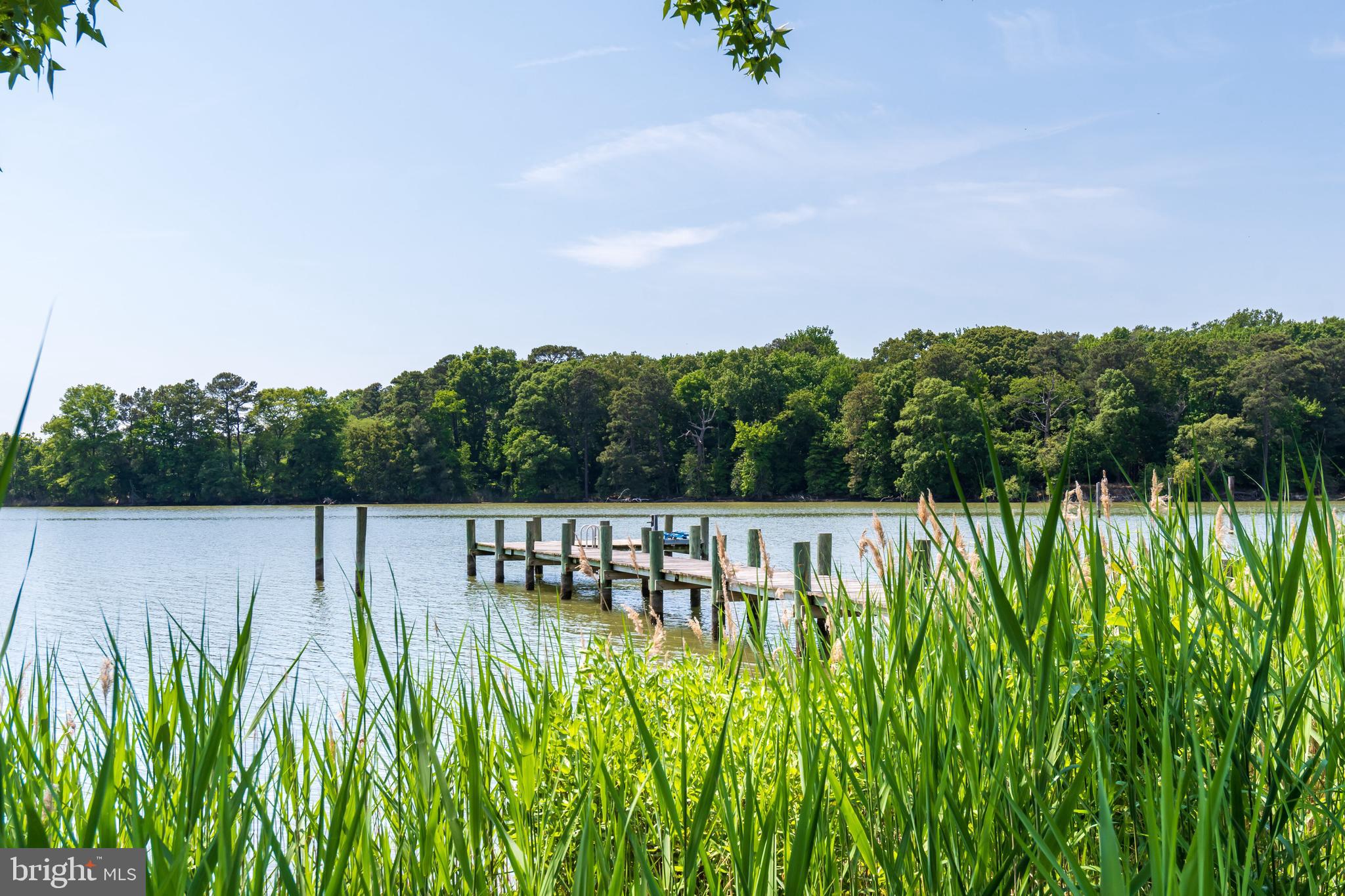 201 Brown Road Chester, MD 21619 - Photo 47 of 50 Pier