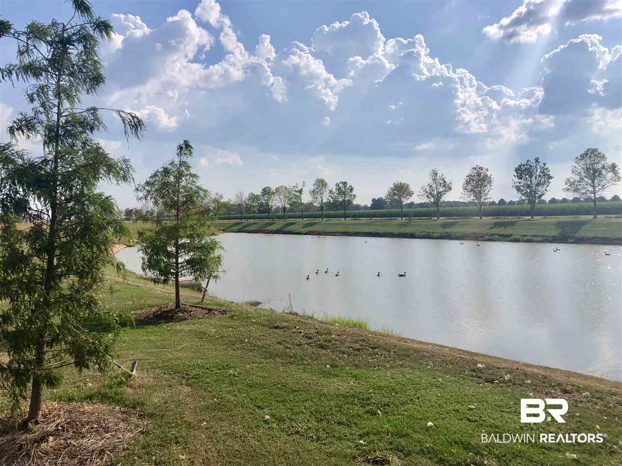 9454 Volterra Avenue Daphne, AL 36526 - Photo 27 of 39 Neighborhood Stocked Lake