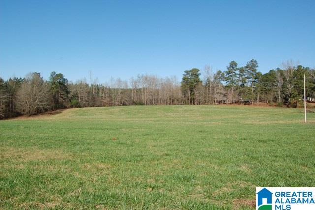 131 County Road, Unit 8 Roanoke, AL 36274 - Photo 5 of 6