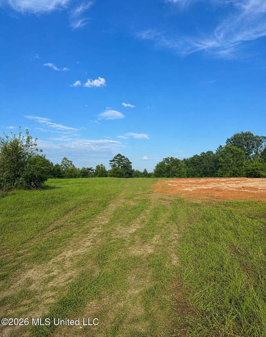 8847 County Road 77 Mize, MS 39116 - Photo 2 of 4 32B06738-8539-43D9-9DFC-C9E97C2CF377