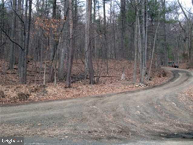 360 Mountain Road Liverpool, PA 17045 - Photo 4 of 8 Gallery Image 4