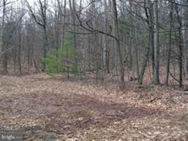 360 Mountain Road Liverpool, PA 17045 - Photo 6 of 8 Gallery Image 6