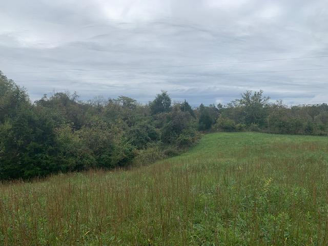 1590 Old State Road Manchester, OH 45144 - Photo 16 of 22 Gallery Image 16