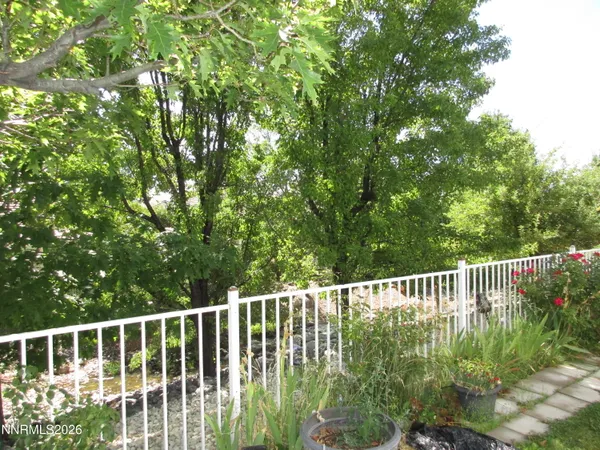 a view of a garden with plants and large trees