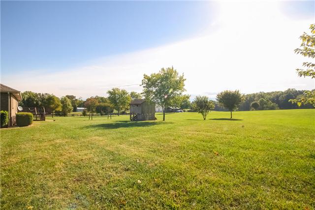 2946 Old Clarksville Springfield Road Adams, TN 37010 - Photo 16 of 20