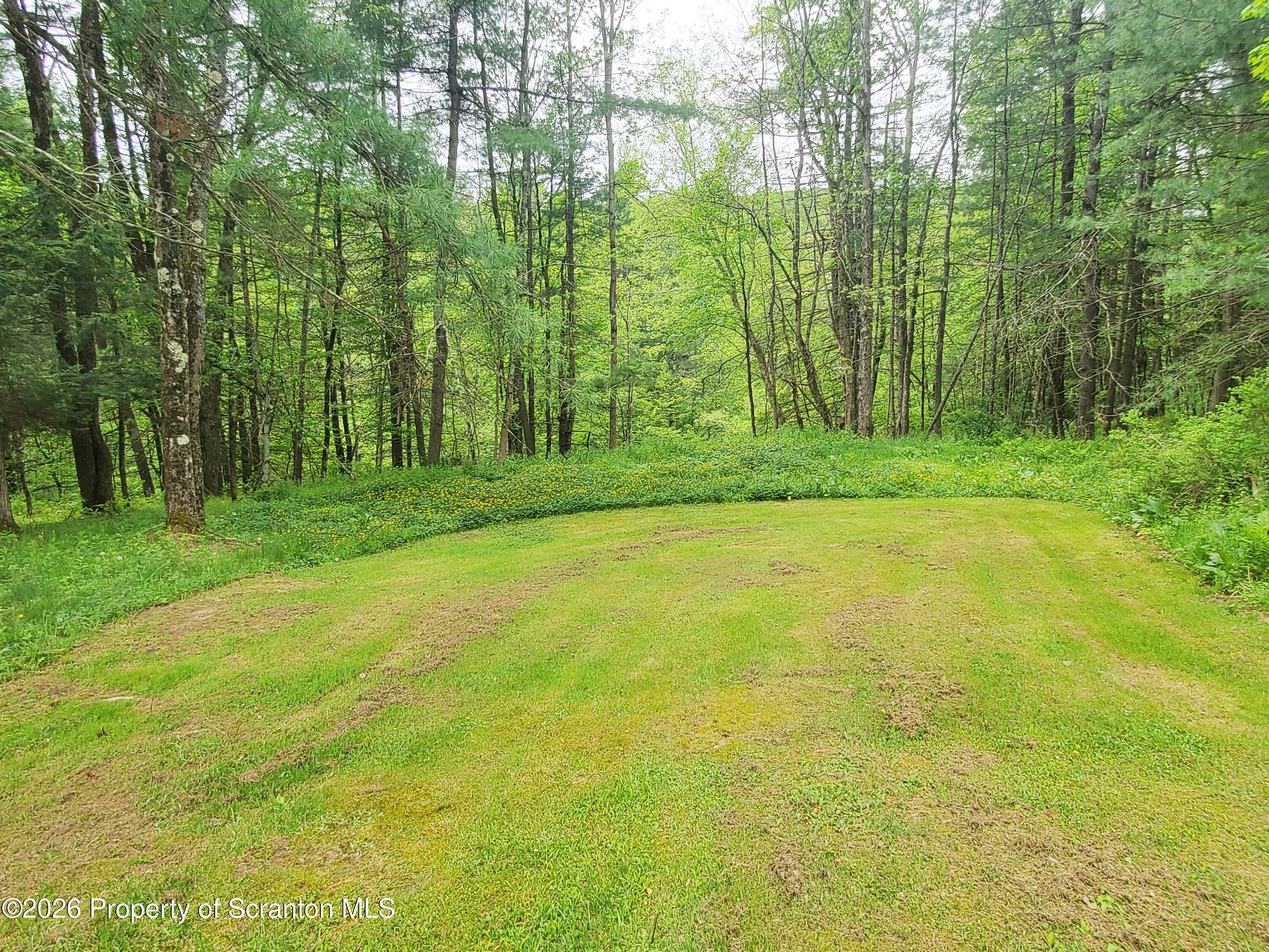 220 Brinkman Road Brackney, PA 18812 - Photo 28 of 32 a view of a yard with a trees