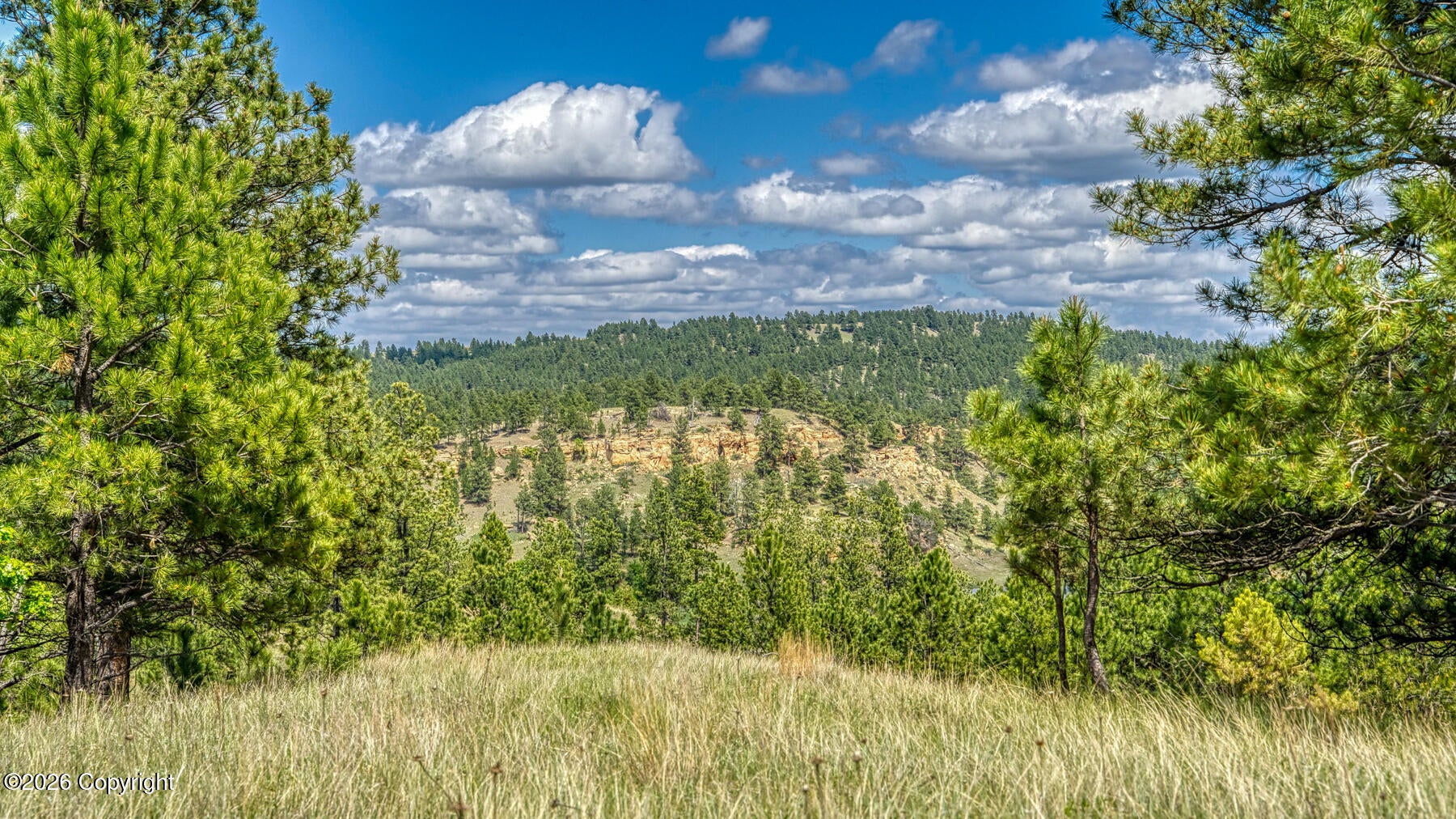 11 Morning Glory Road Hulett, WY 82720 - Photo 27 of 53 Gallery Image 27