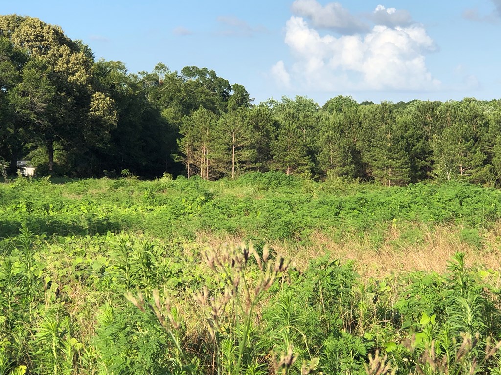 0 Iris Road Dothan, AL 36301 - Photo 2 of 12