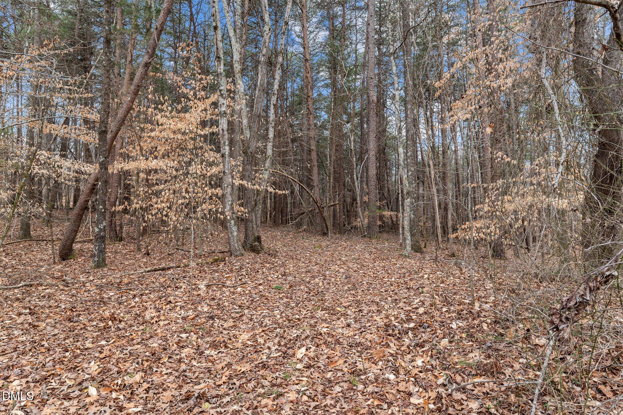 8729 Allison Road Cedar Grove, NC 27231 - Photo 50 of 63 a backyard of a house with lots of green space