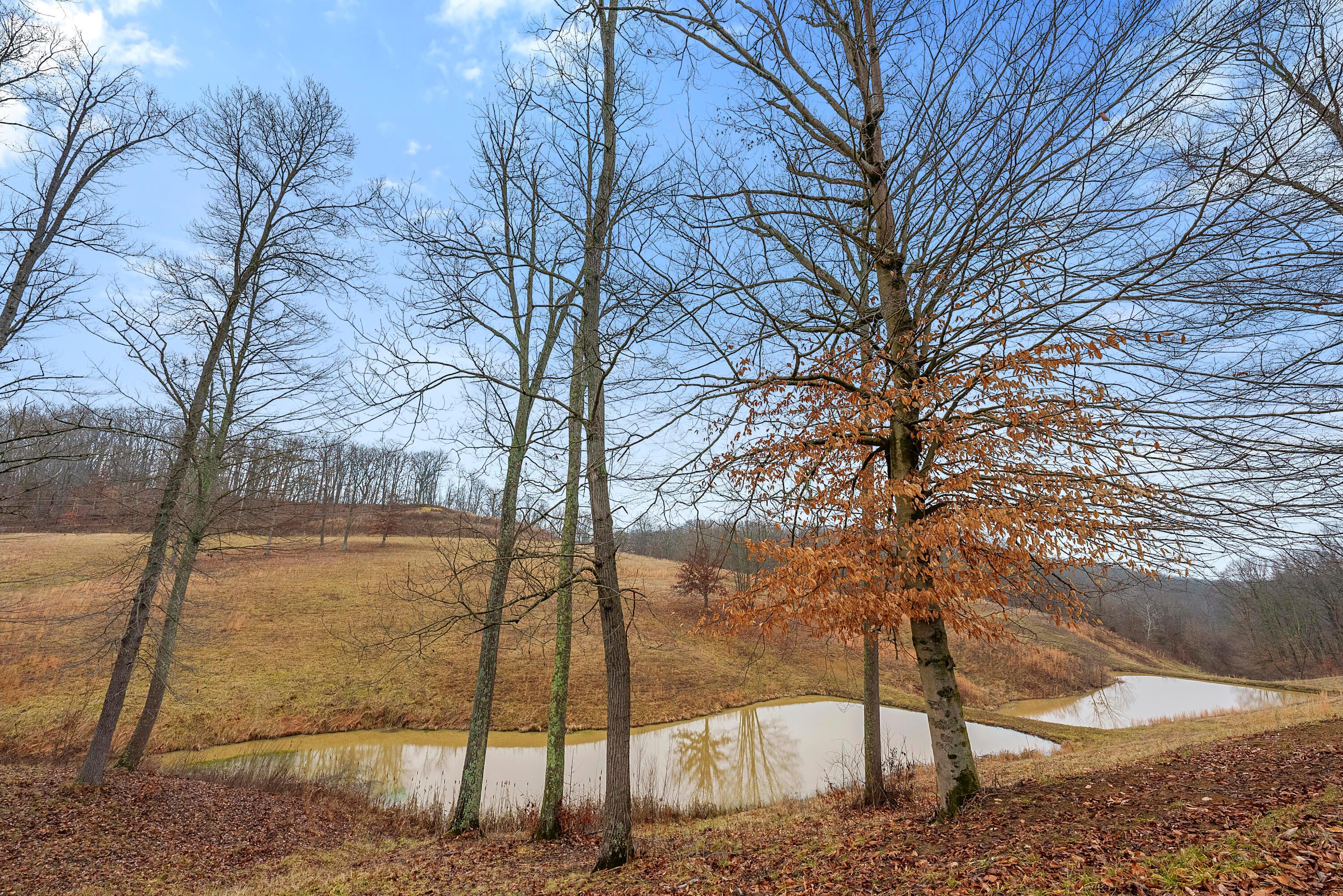 9000 Millertown Road Glouster, OH 45732 - Photo 3 of 20 DSC01159