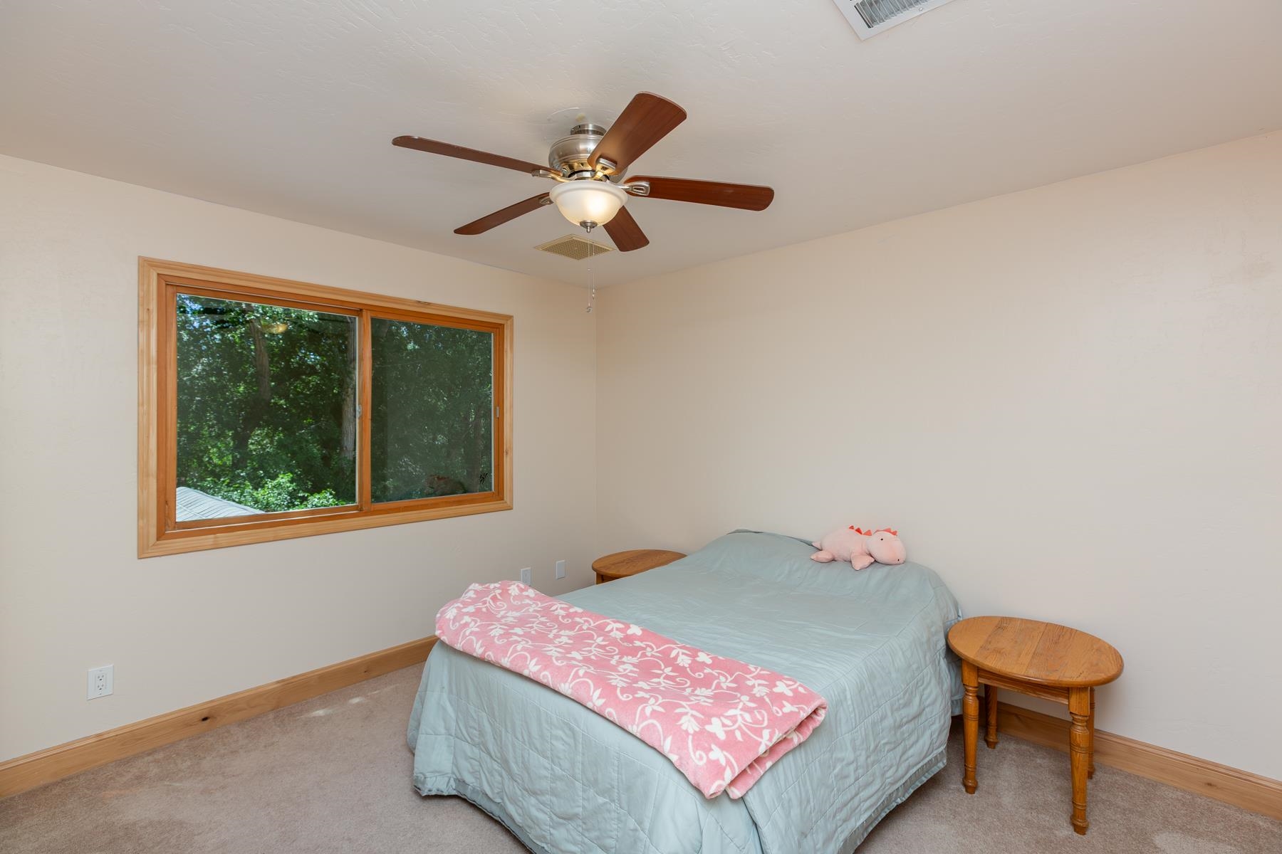 311 34 Road Palisade, CO 81526 - Photo 19 of 42