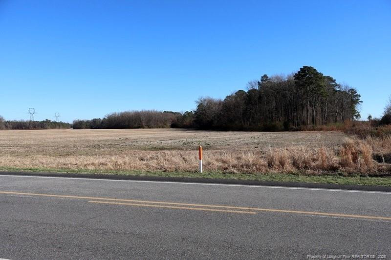 Tbd South Old Wire Road Maxton, NC 28364 - Photo 35 of 38 Photo 35