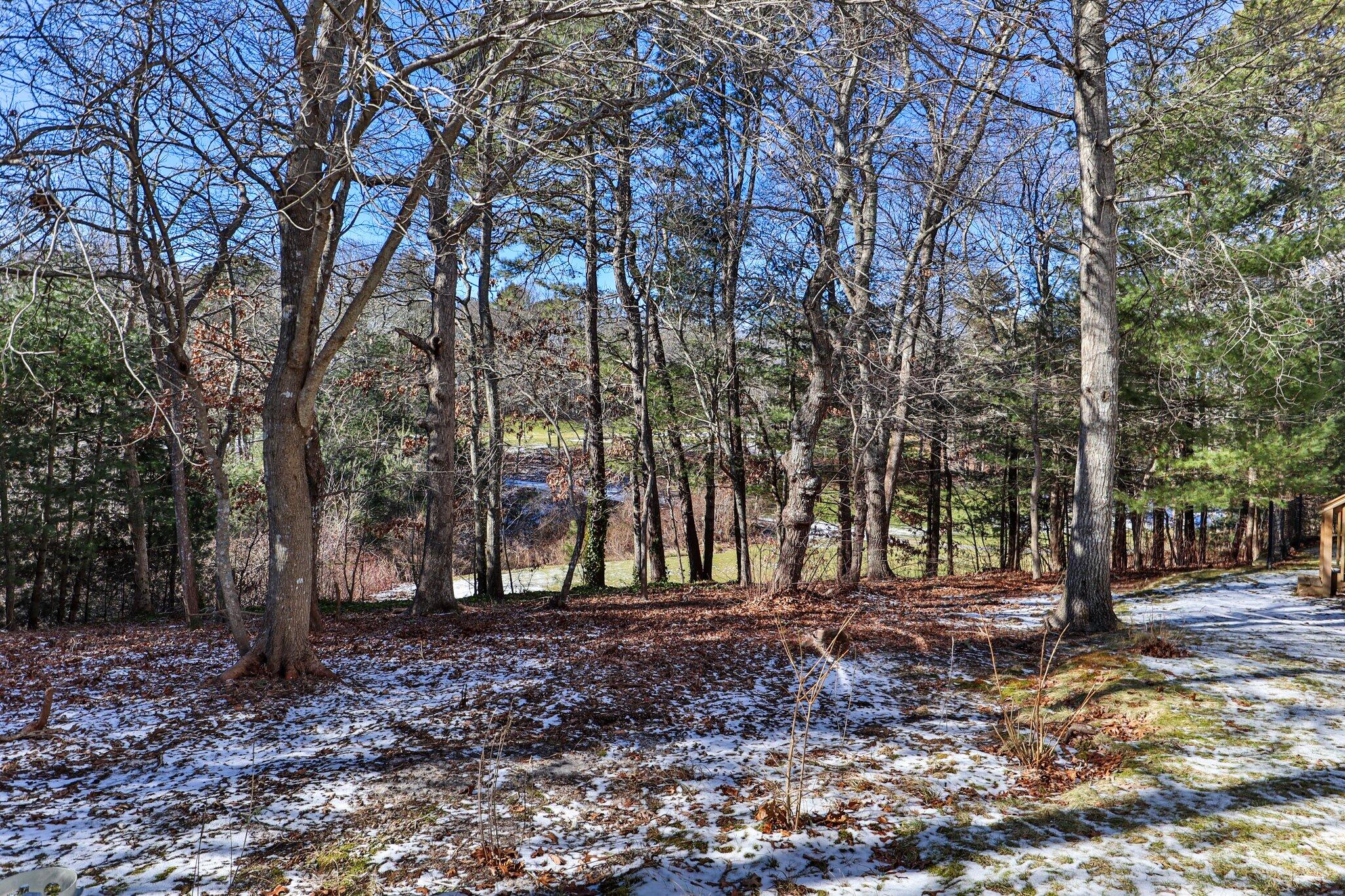 22 North Ridge Road Mashpee, MA 02649 - Photo 24 of 33 a backyard of a house with lots of green space