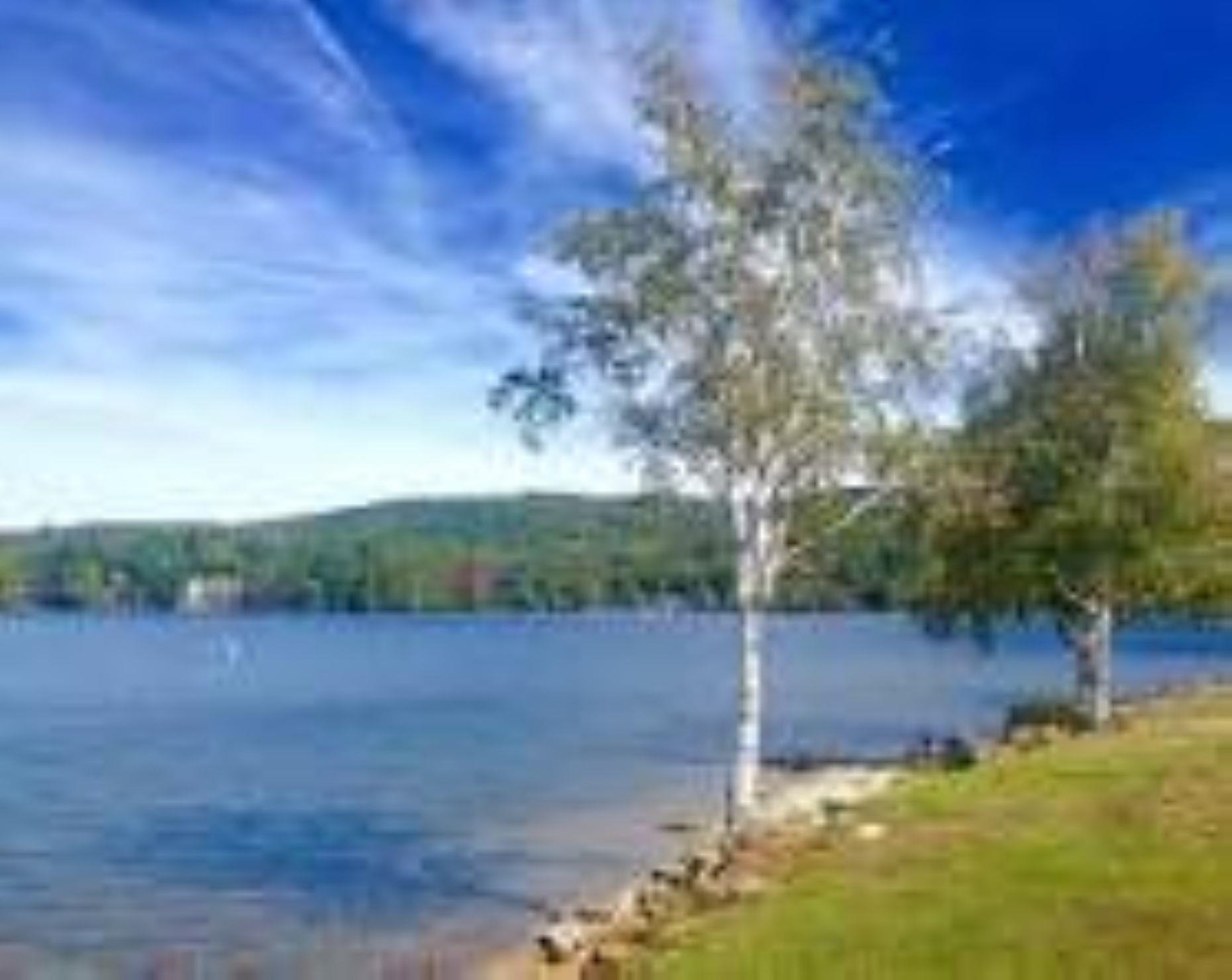 151 West Shore Road, Unit #4 Bristol, NH 03222 - Photo 4 of 21 Gallery Image 4